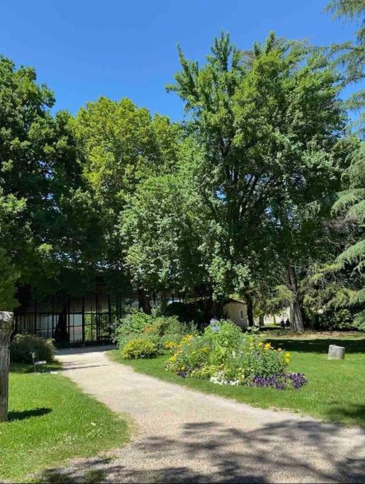 Superbe appartement avec vue sur la tour de Vésone Périgueux Extérieur photo